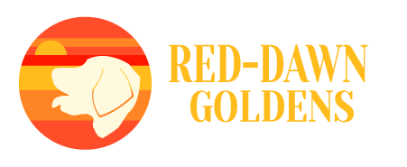 Red-Dawn Golden Retrievers